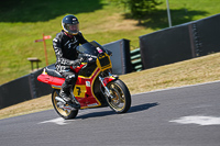 cadwell-park;cadwell-park-photographs;cadwell-trackday-photographs;enduro-digital-images;event-digital-images;eventdigitalimages;peter-wileman-photography;racing-digital-images;trackday-digital-images;trackday-photos